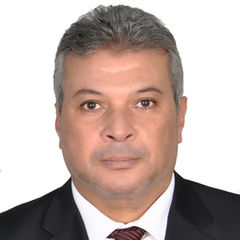 Tarek Mohammed Hamed - Bayt.com